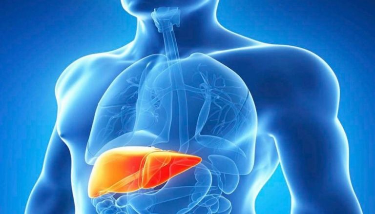 El deporte y el consumo de probióticos mejoran la cognición de los enfermos hepáticos