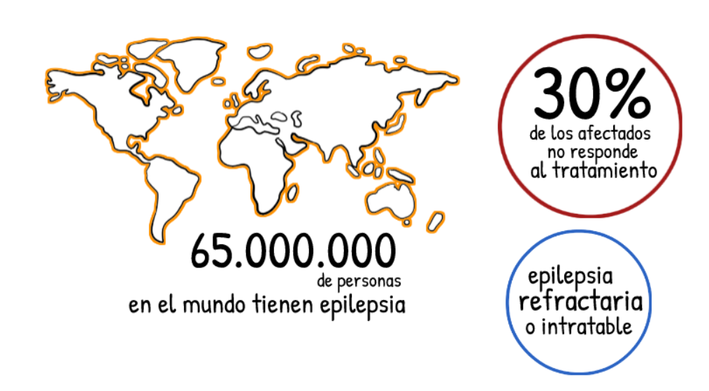 Datos sobre la epilepsia.