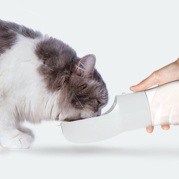 Aliexpress: los accesorios para mascotas que arrasan en ventas