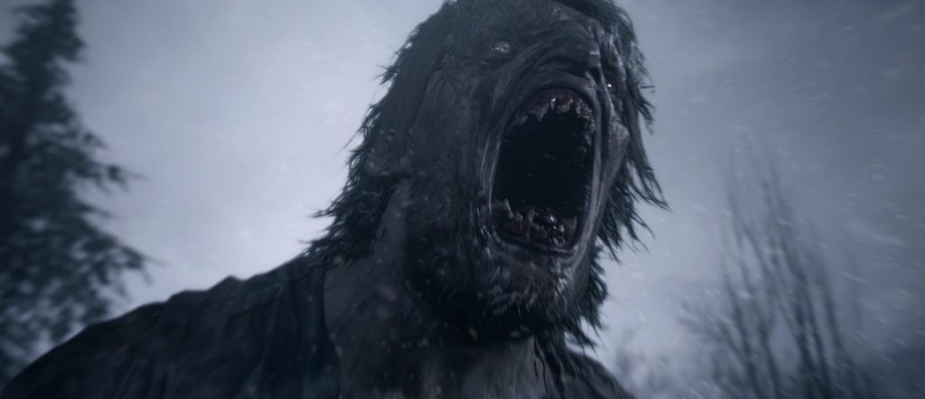 Lobo