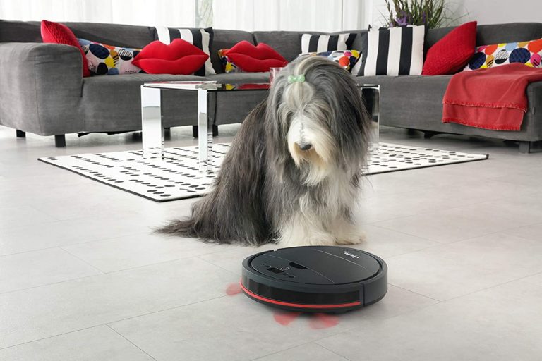 Cecotec, Roomba: robots aspiradores perfectos si tienes perro o gato