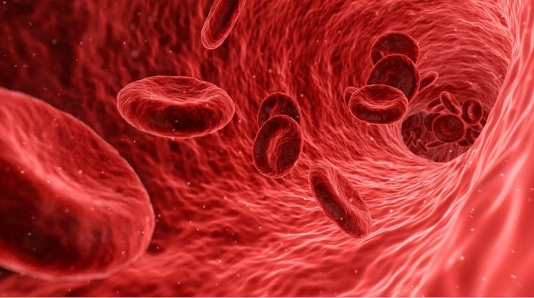 Terapias de células CAR-T en la lucha contra el cáncer