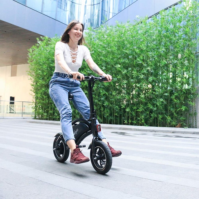 Windgoo Bicicleta Electrica 36V