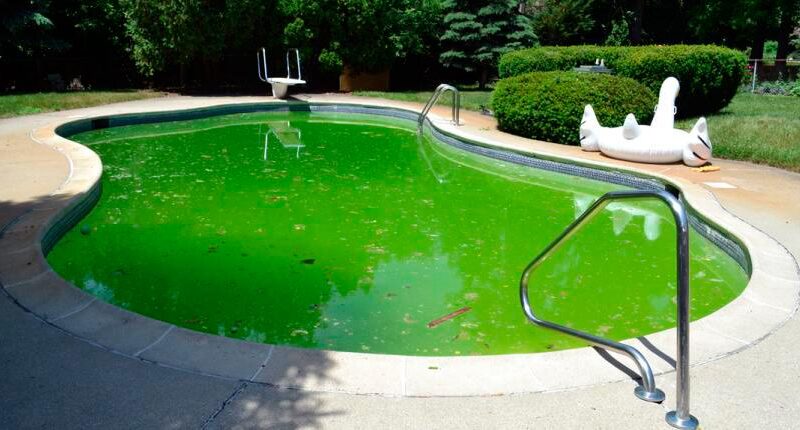 ¿Por qué el agua de la piscina se pone verde?
