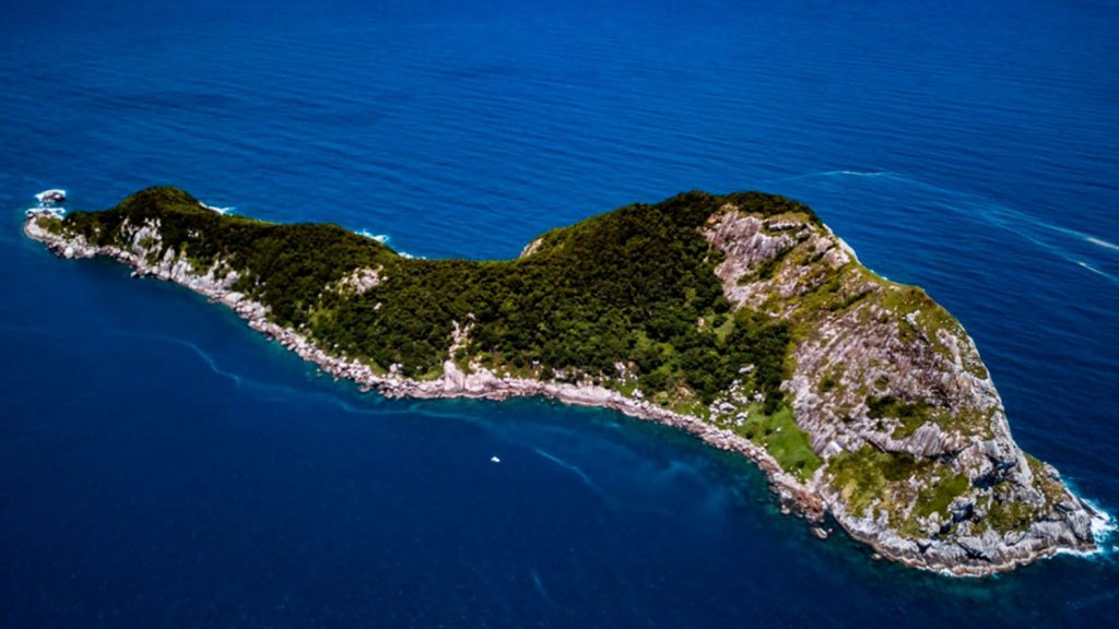 Isla Da Queimada Grande O Isla De Las Serpientes Situada En Brasil: