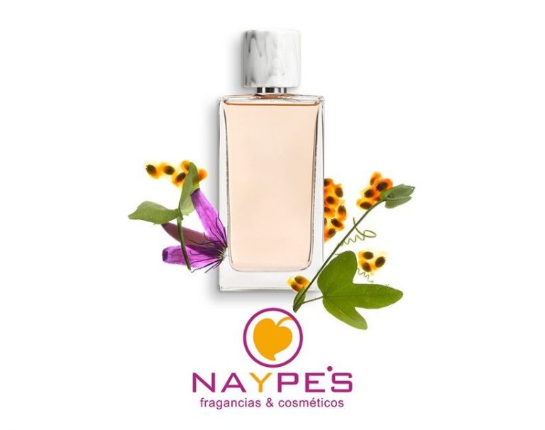 NAYPES inicia su plan de internacionalización y mantiene su colaboración con la consultora empresarial CEDEC