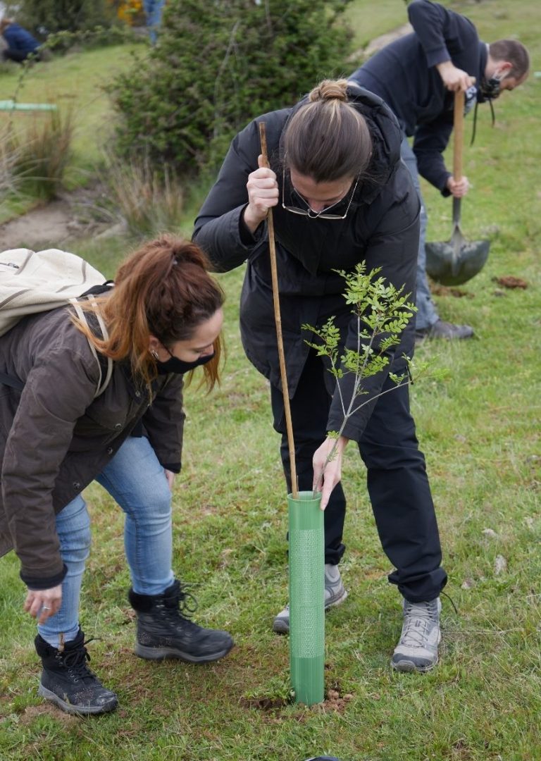La firma de joyas Bombay Sunset planta un bosque de más de 400 árboles para compensar su huella de carbono