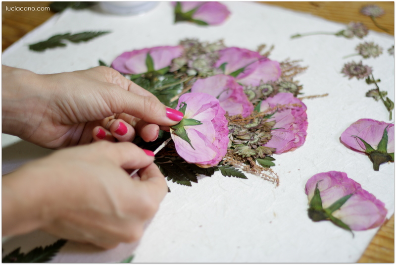 Paso A Paso Para Secar Una Flor Y Que Quede Perfecta 