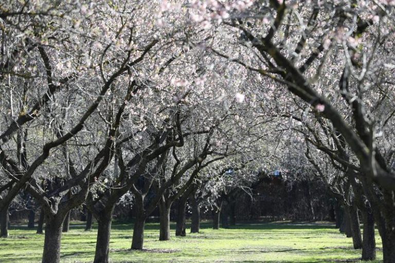 Reabren hoy al completo siete parques históricos tras finalizar las labores por ‘Filomena’