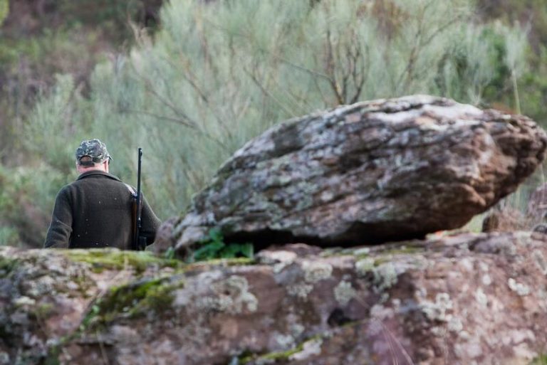 Extremadura inicia expediente para declarar la montería y la rehala como Bien de Interés Cultural