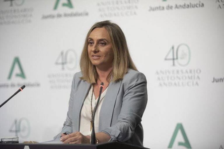 Andalucía critica que el Gobierno se plantee introducir nuevos peajes «en plena crisis»