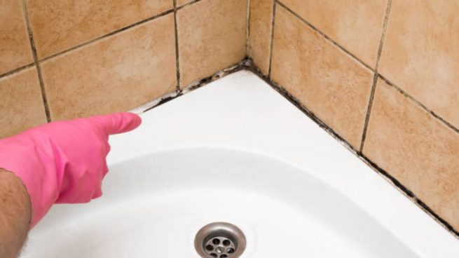Cómo Limpiar La Ducha Con Productos Naturales 3 Limón Y Vinagre