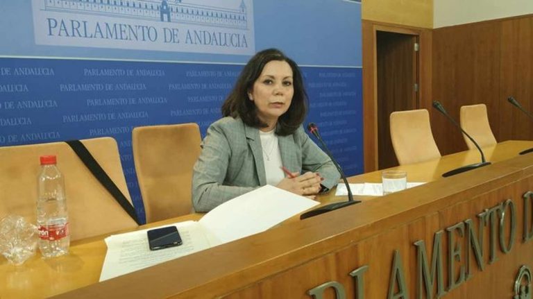Vox espera que Susana Díaz ya dé «la cara» en comisión Faffe