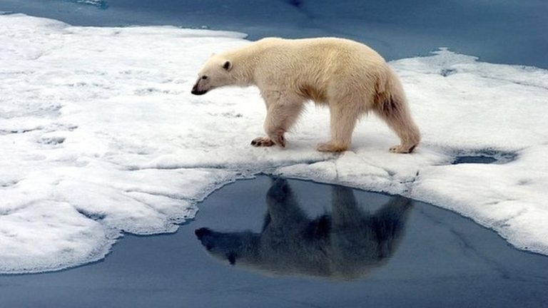Los impactos del cambio climático empeoraron en 2020
