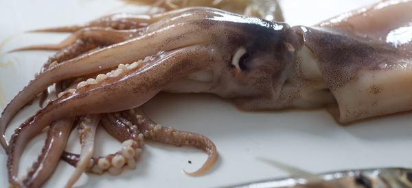 Paso A Paso Para Limpiar Calamares