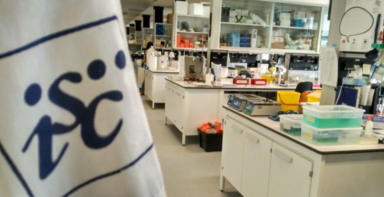 El ISCIII lidera un estudio sobre los efectos del compuesto neurotóxico metilmercurio
