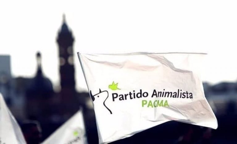 El PACMA ve «inútil» que el Gobierno regule los registros de protección animal
