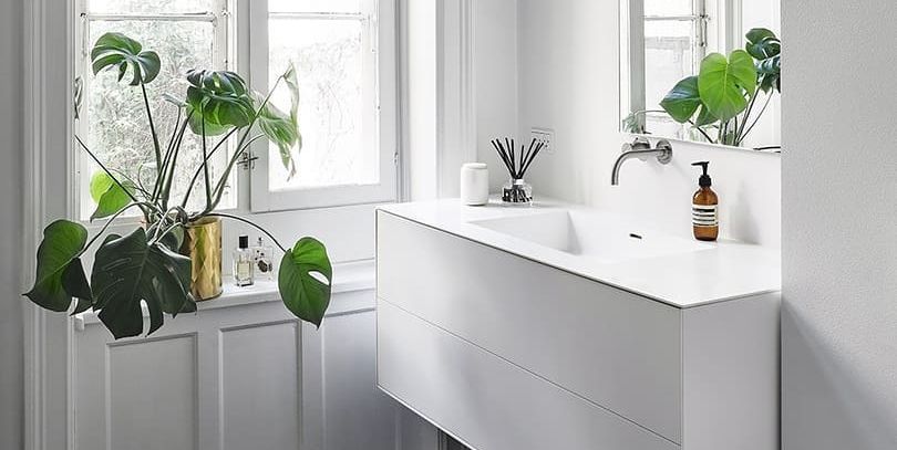 Para Tu Baño