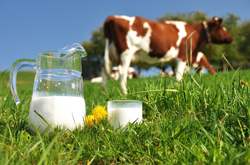 Tipos De Leche Existente