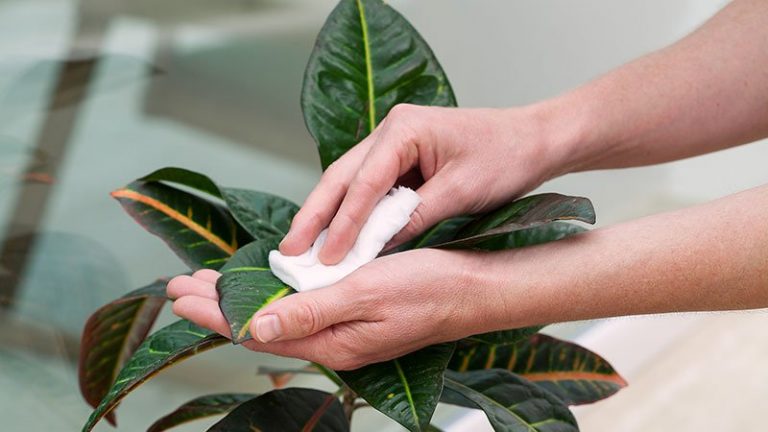 Cómo limpiar las flores artificiales