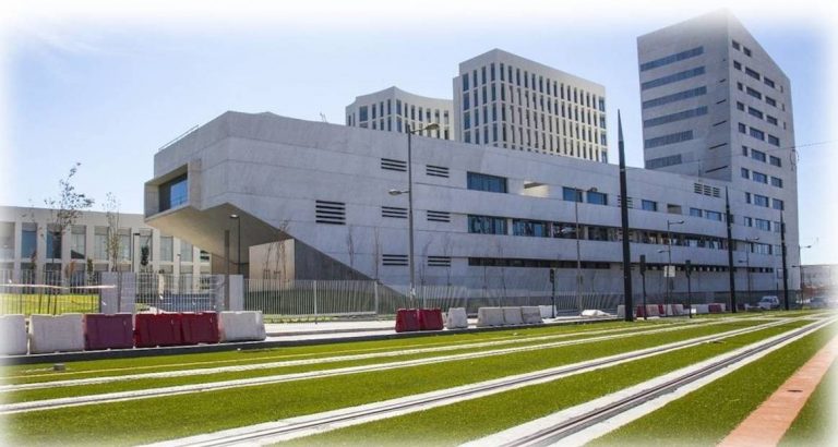 La UGR estudia los beneficios para la salud cerebral del aprendizaje de idiomas