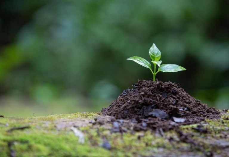 Más País y Verdes Equo quiere aumentar la «ambición» de la ley de cambio climático
