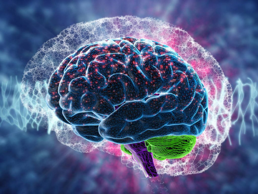 Reacción Automática Del Cerebro