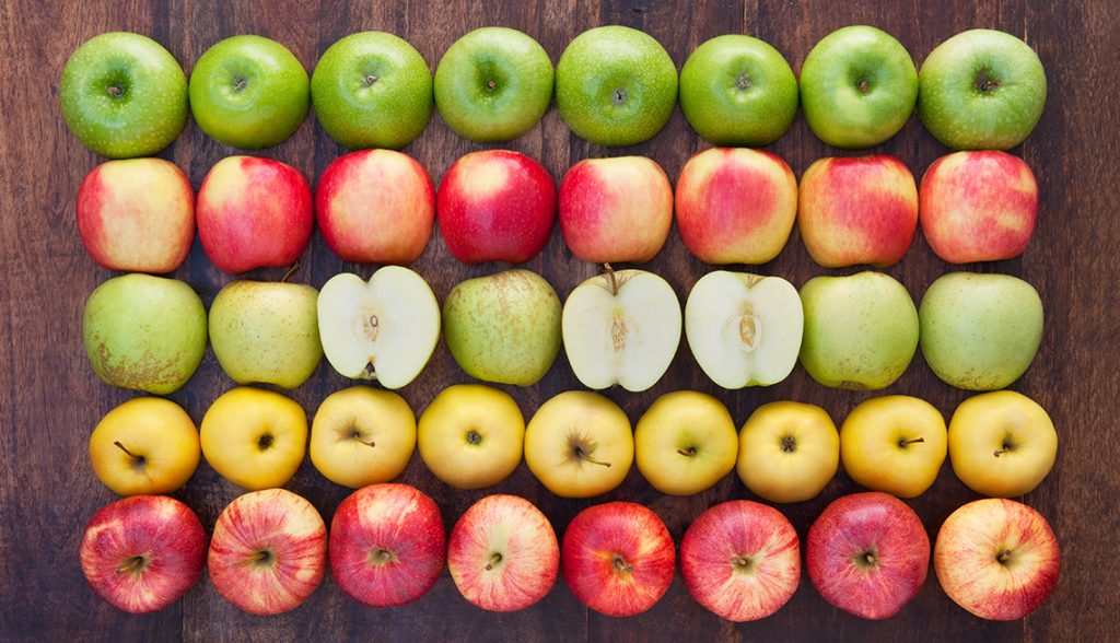 Tipos de manzana y sus divisiones