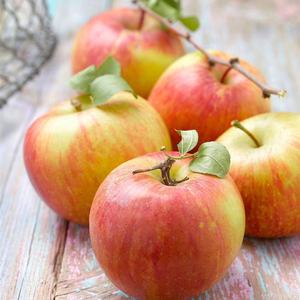 También Son Manzanas