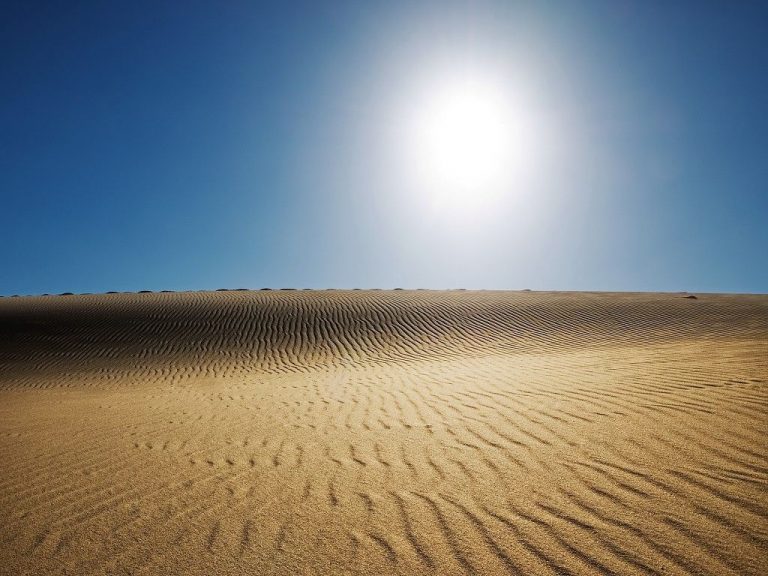 Marzo de 2021 fue el cuarto más seco en 60 años y el más seco del siglo XXI