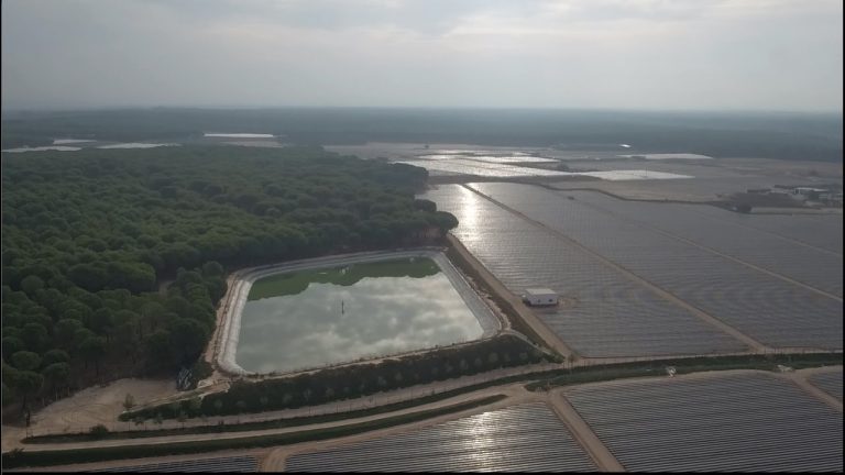 WWF avisa del «incumplimiento» del ‘Plan de la Fresa’
