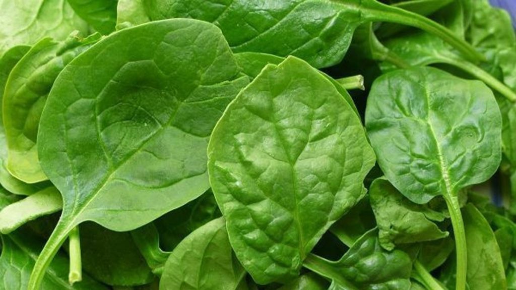 Espinaca