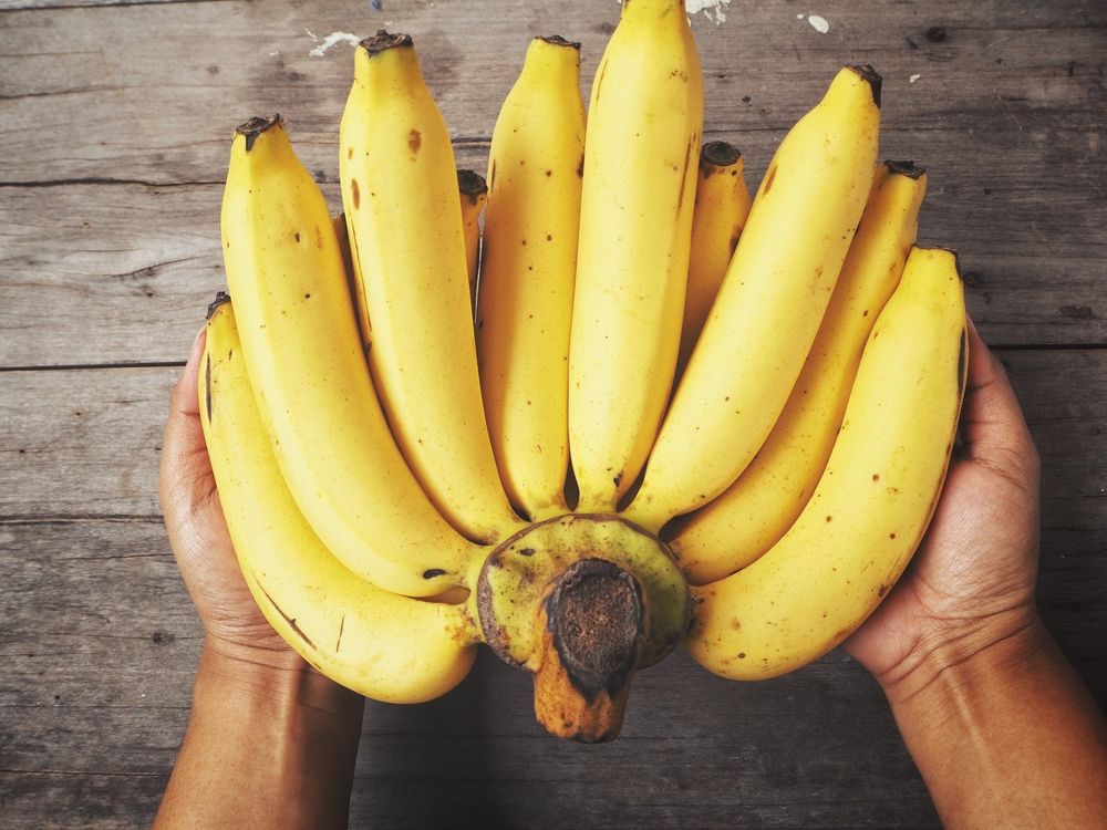 Qué Es Mejor, El Plátano O La Banana