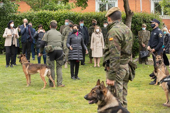 Robles visita el Centro Militar Canino donde detectan el covid con perros adiestrados