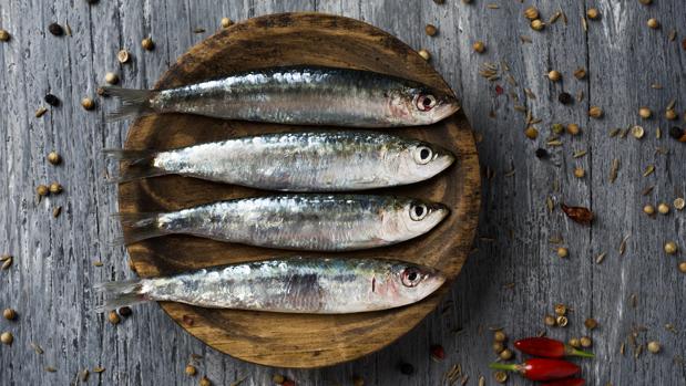 Ir A La Pescadería No Deja De Ser Una Buena Opción