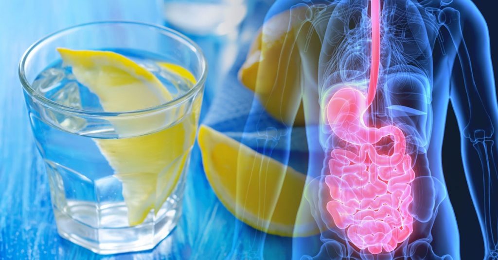 Te Aleja De Virus Y Bacterias