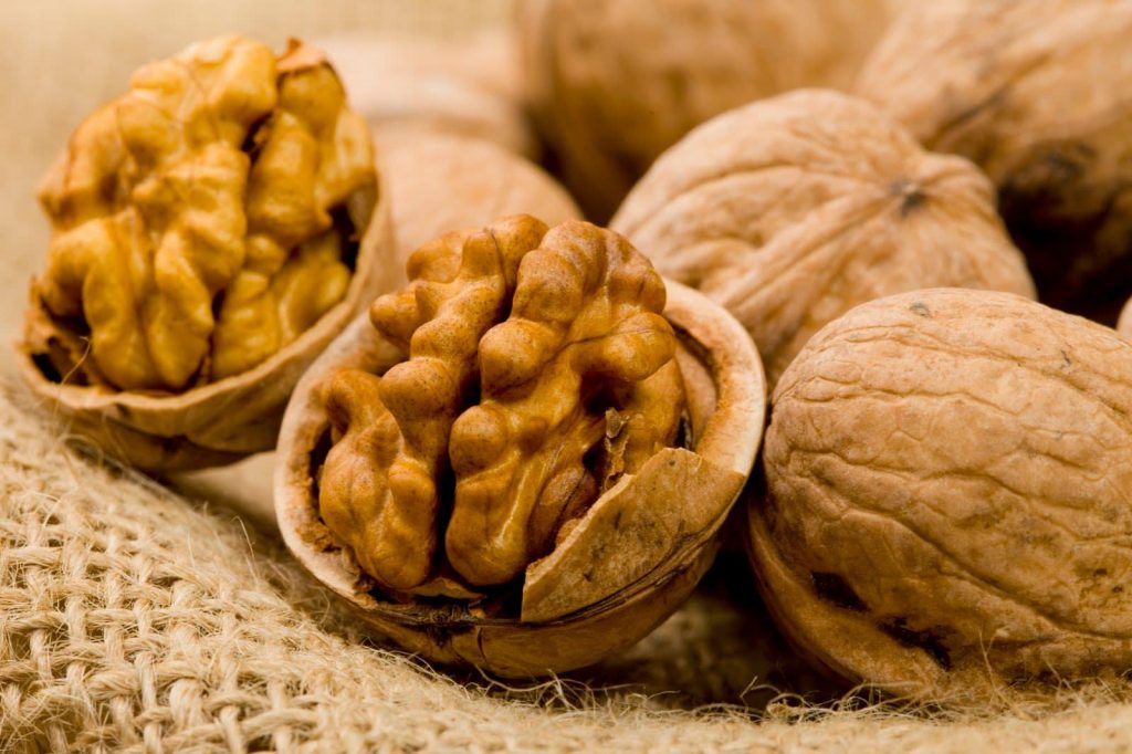 Un Mundo Desconocido Con Las Nueces De Macadamia