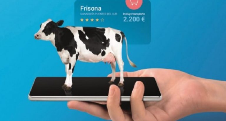 VayaVaca: de la subasta online de los ‘ferraris’ del ganado al e-commerce agrícola