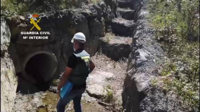 Seprona investigó en 2020 más de 130.000 infracciones higiénico-sanitarias