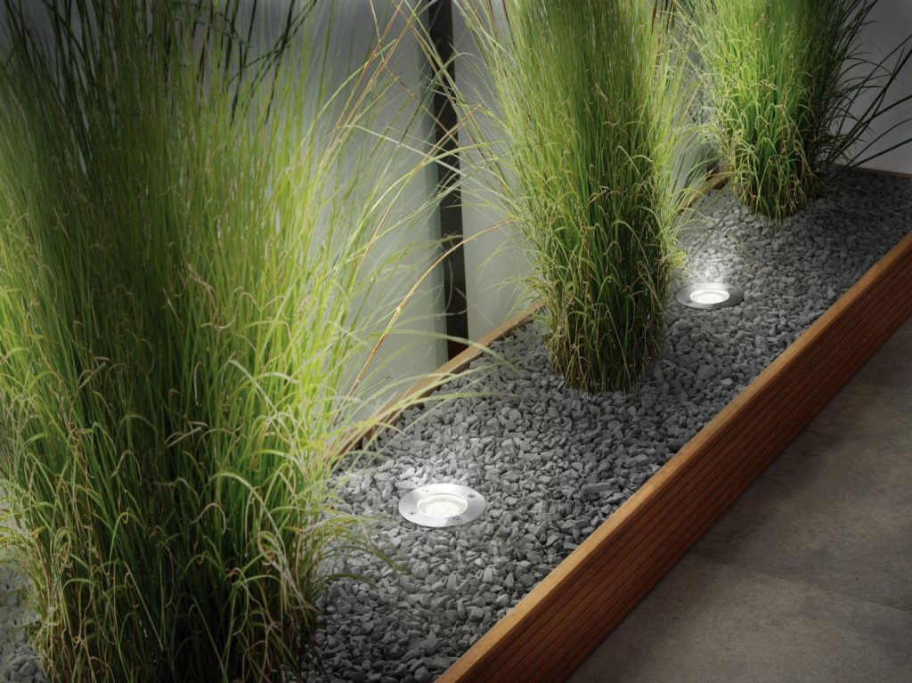 Luz Jardin