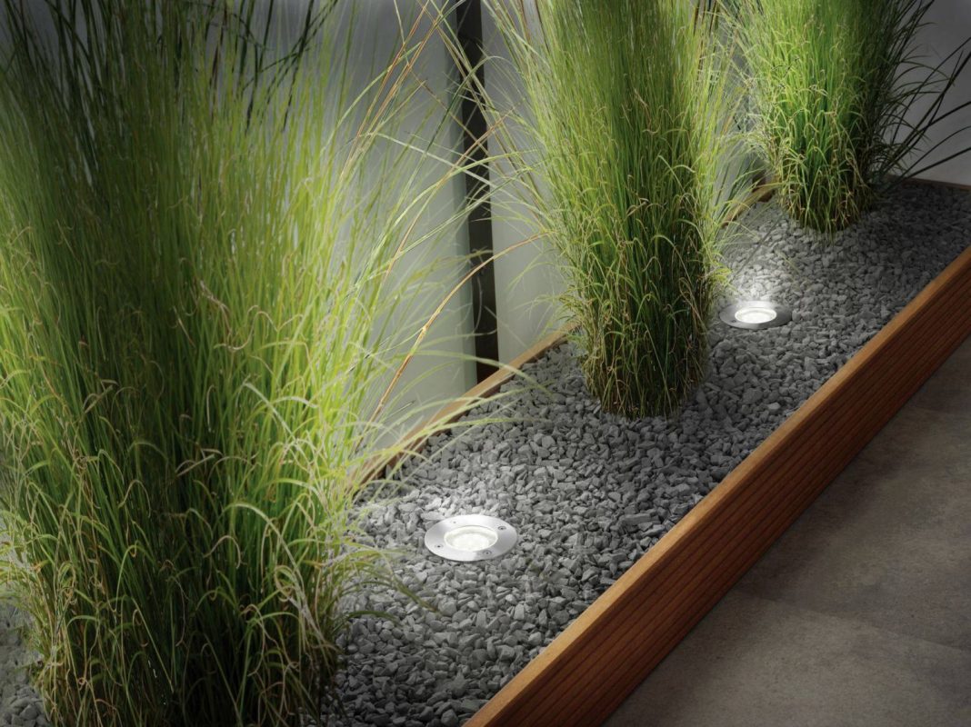 luz jardin