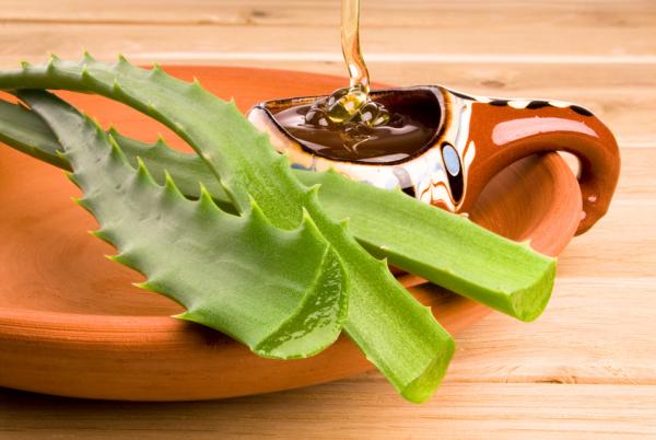 Beneficios De La Aloe Vera