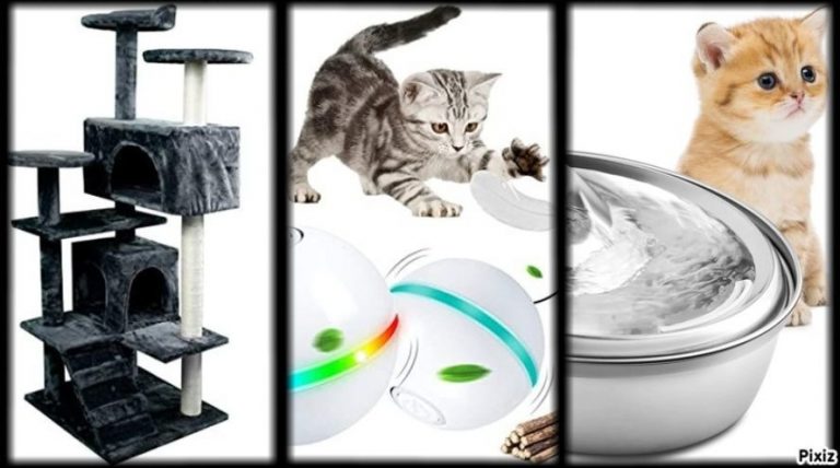 Amazon: 10 productos increíbles para mascotas