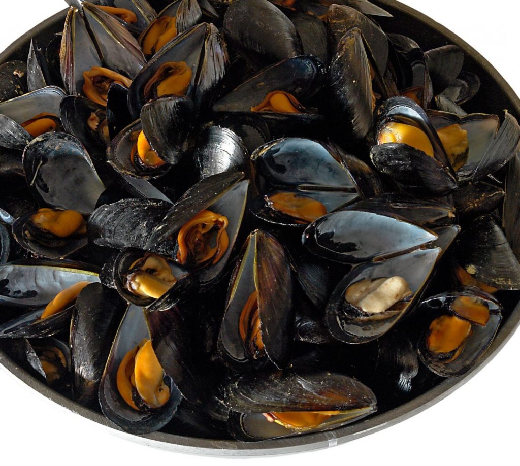 Antes De Limpiar Mejillones ¿Qué Hay Que Tener En Cuenta?