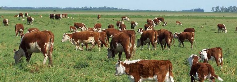 Nace ‘Granjas Next Generation’, un programa de formación agroganadera