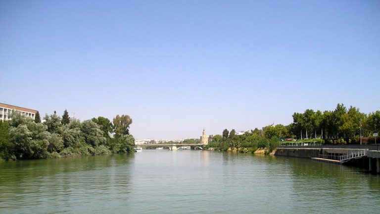 Multa de 623.000 euros a una planta oleícola de Córdoba por vertido al Guadalquivir