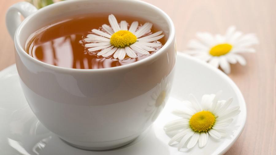 10 Alimentos Que Te Ayudarán A Perder Grasa