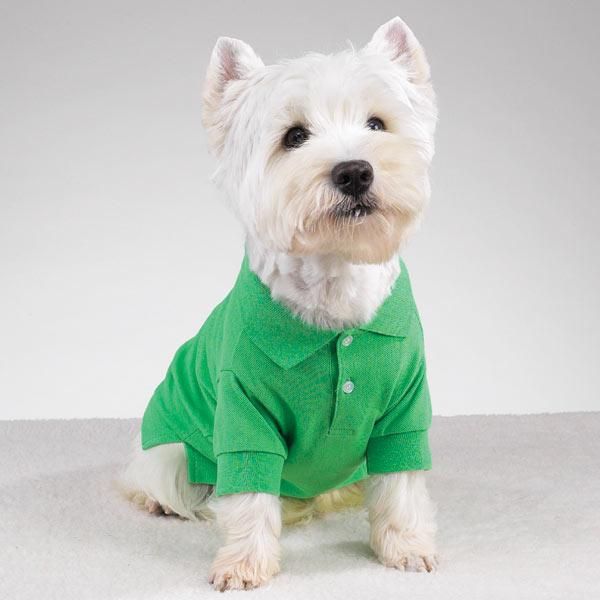 C mo calcular la talla de tu perro para comprarle ropa