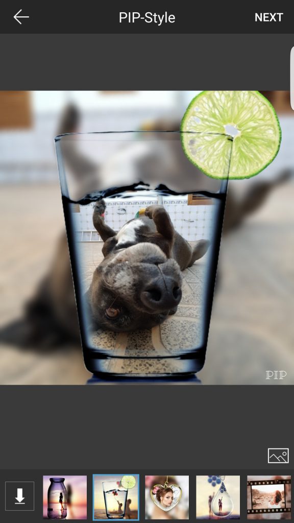 Pip Camera