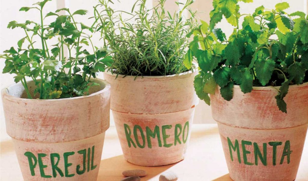 Estas son las mejores plantas para tu balcón en primavera
